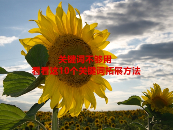 關(guān)鍵詞不夠用，看看這10個關(guān)鍵詞拓展方法！